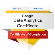 google-data-analytics-professional-certificate.1.png